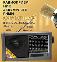 Радиоприемник аккумуляторный с флэшкой Yuegan Серый