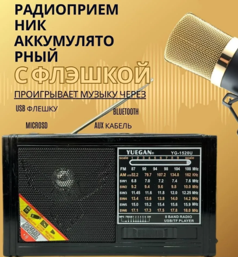 Радиоприемник аккумуляторный с флэшкой Yuegan черный