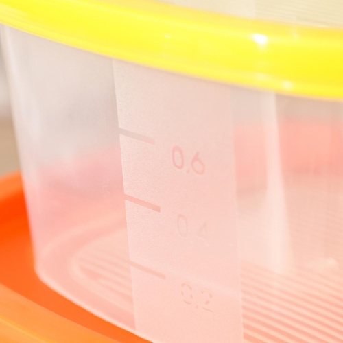 Набор пищевых контейнеров «BioFresh», 4 шт: 0,23 л, 0,5 л, 0,9 л, 1,55 л, цвет микс фото 4