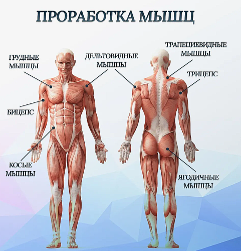 Перкуссионный массажер 2в1 для всего тела. Массажный пистолет и пояс, 2 насадки, 4 скорости, удар 36 кг фото 7