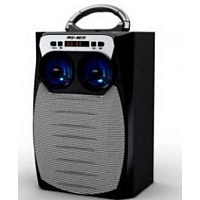 Колонка Model, MS-169BT, 15 Вт, FM-радио, AUX, Bluetooth, USB, AUX, время работы 4-5 часов
